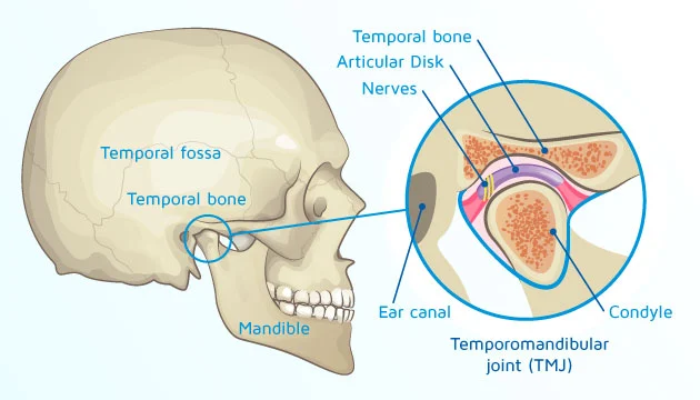 TMJ Treatment & therapy in dearborn MI